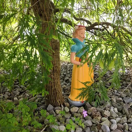 Lough Gara Self Catering *