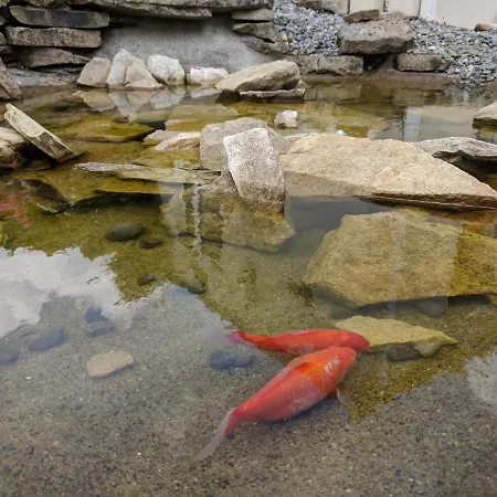 Lough Gara Self Catering Gorteen (Sligo)