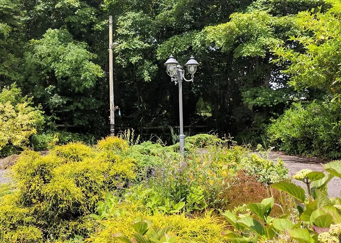 Lough Gara Self Catering 펜션 *